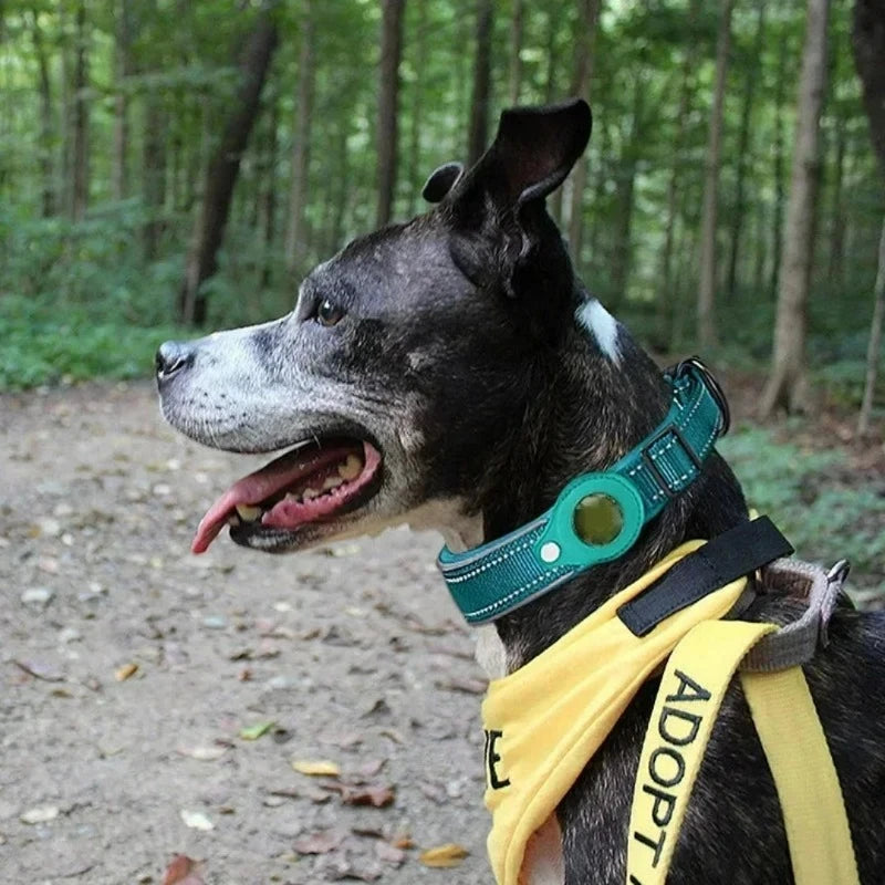 Wasserdichter Airtag Halsband & GPS Tracker für dein Hund!